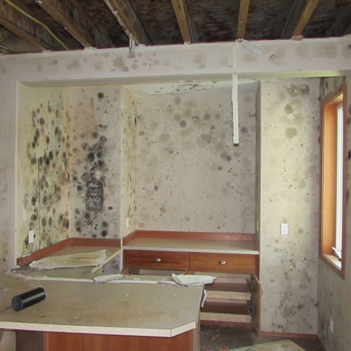 Lake-Interiors-Chelan-Water-Restoration-12