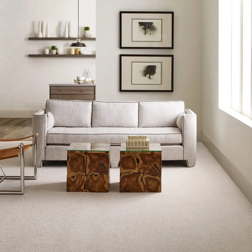 Carpet-Inspiration-Gallery-8