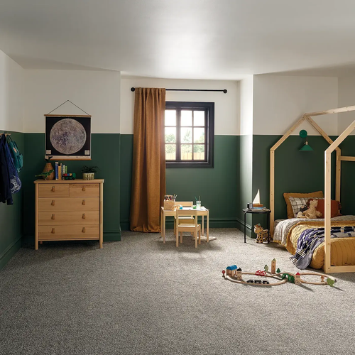 Carpet-Inspiration-Gallery-5