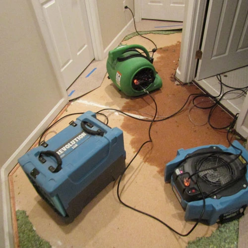 Lake-Interiors-Chelan-Water-Restoration-2
