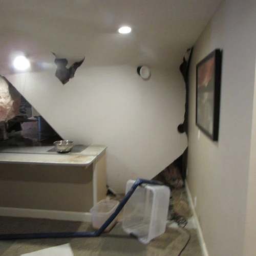 Lake-Interiors-Chelan-Water-Restoration-7