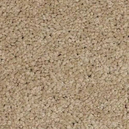 In-stock nylon carpet from INSERT_NAME in INSERT_LOCATION