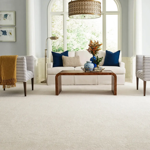 Carpet-Inspiration-Gallery-3