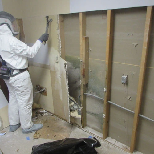 Lake-Interiors-Chelan-Water-Restoration-5-1