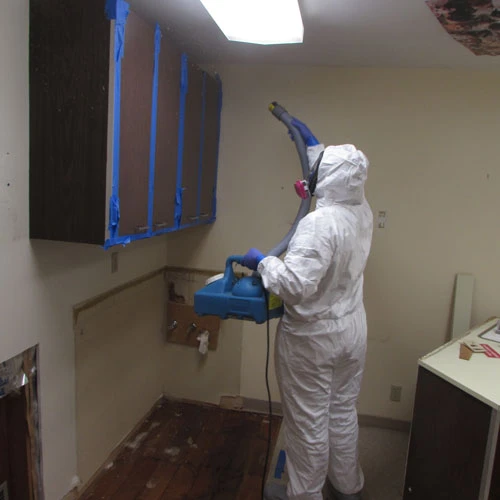 Lake-Interiors-Chelan-Water-Restoration-6