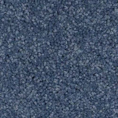 In-stock cleartouch polyester carpet from INSERT_NAME in INSERT_LOCATION