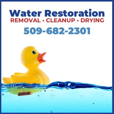 water-restoration-SliderBackground-RoomScene-1